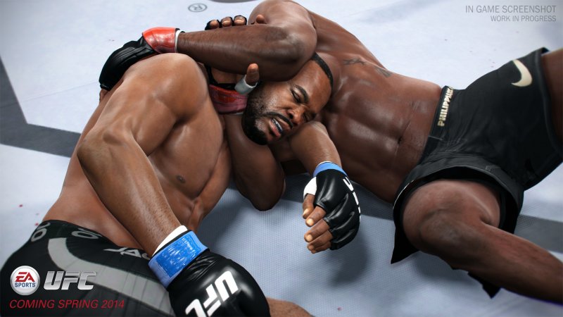 EA Sports UFC è disponibile da oggi nei negozi EA Sports UFC è disponibile da oggi nei negozi