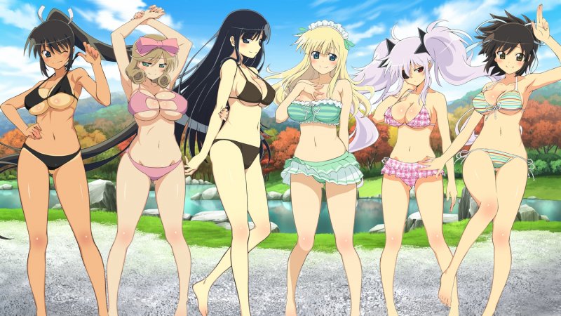 La soluzione di Senran Kagura Burst La soluzione di Senran Kagura Burst