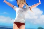 Tecmo Koei ha annunciato Dead or Alive 5: Last Round per PlayStation 4 e Xbox One - Notizia