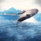 Assassin's Creed Pirates - Nuovo aggiornamento disponibile