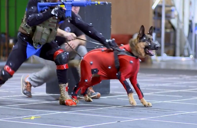 Chissà quanto sarà costato catturare e pulire le animazioni del cane di COD: Ghosts Chissà quanto sarà costato catturare e pulire le animazioni del cane di COD: Ghosts