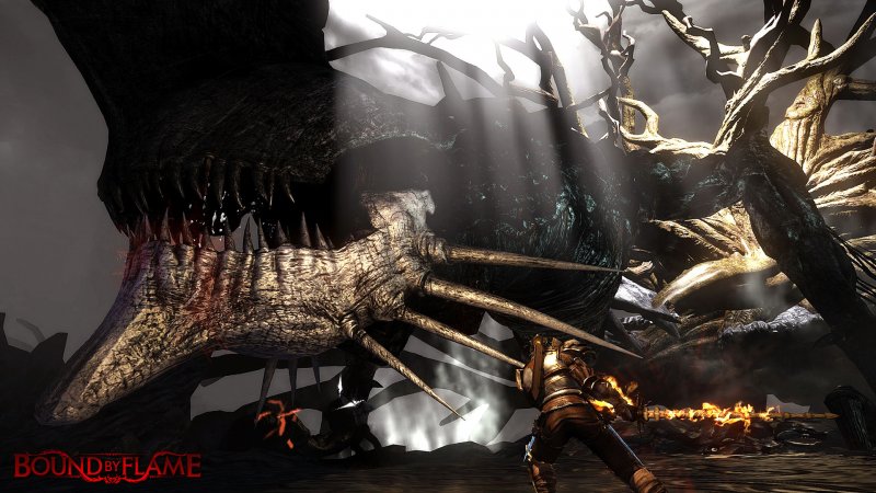 Immagine di Bound by Flame per Xbox 360