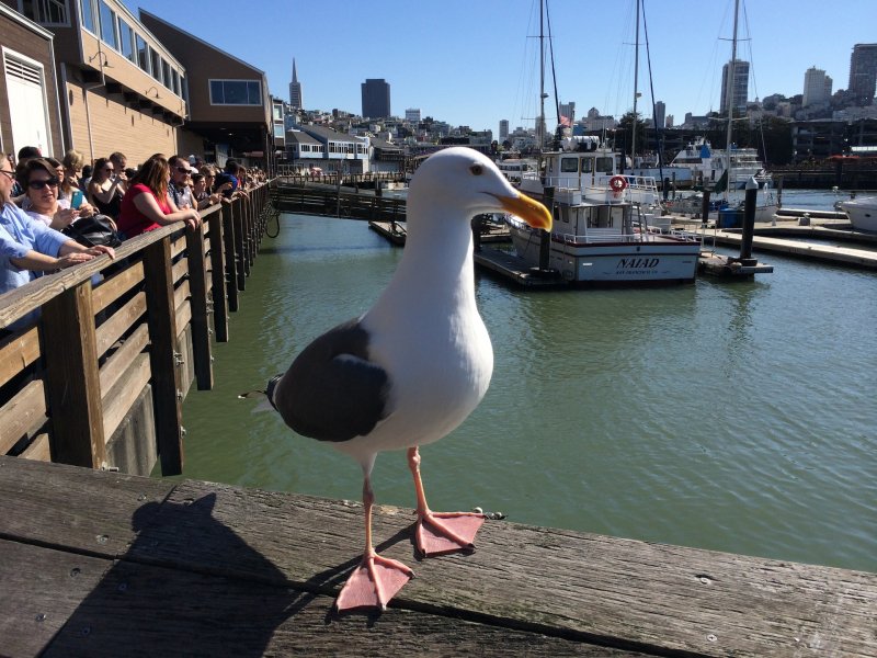 Multiplayer.it a San Francisco per la GDC 2014!