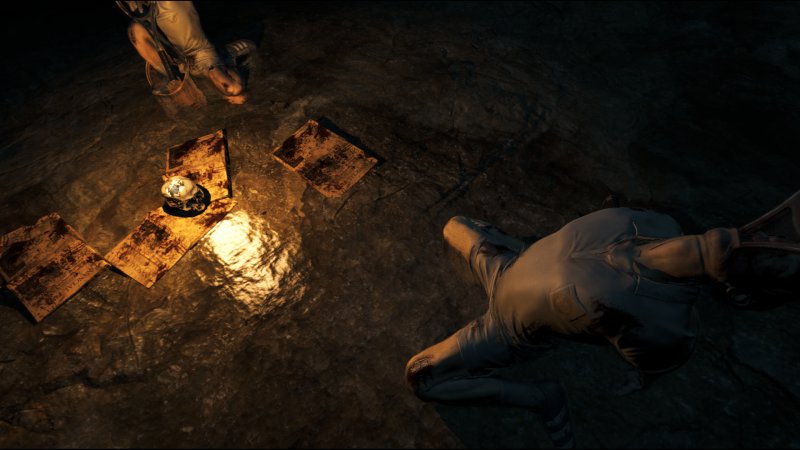 Immagine di The Forest per PC Windows