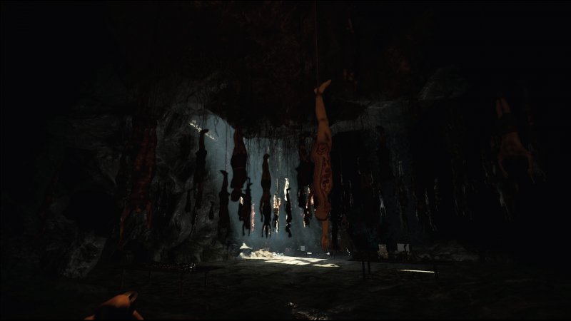 Immagine di The Forest per PC Windows