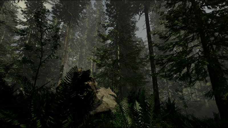 Immagine di The Forest per PC Windows