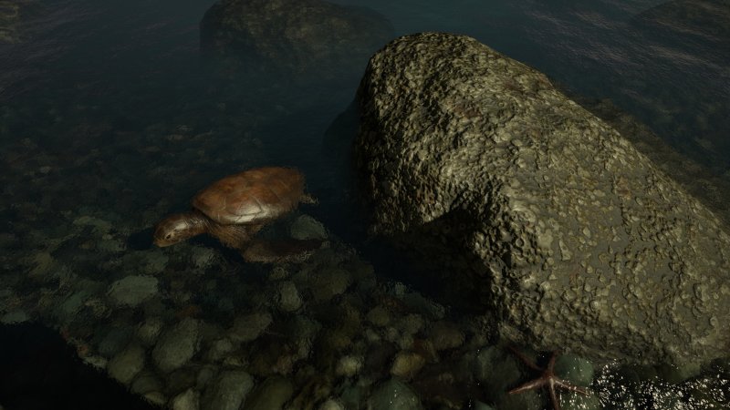 Immagine di The Forest per PC Windows