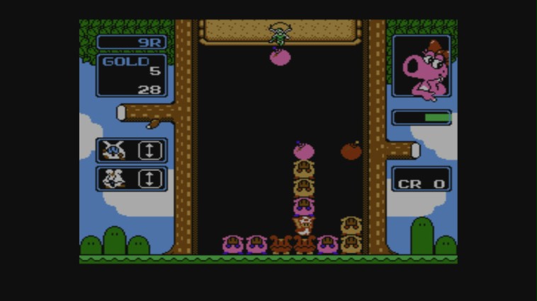 Wario's Woods