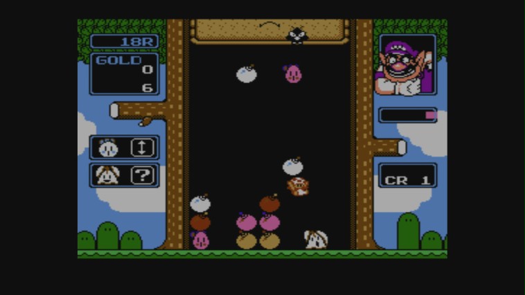 Wario's Woods