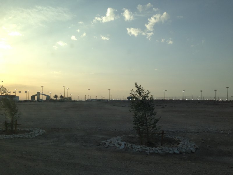 Il dottore del deserto