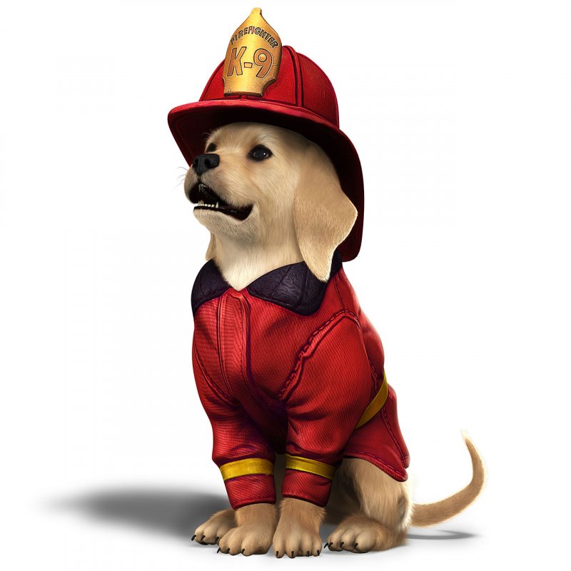 Immagine di PlayStation Vita Pets per PlayStation Vita