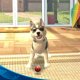 PlayStation Vita Pets - Trailer di lancio