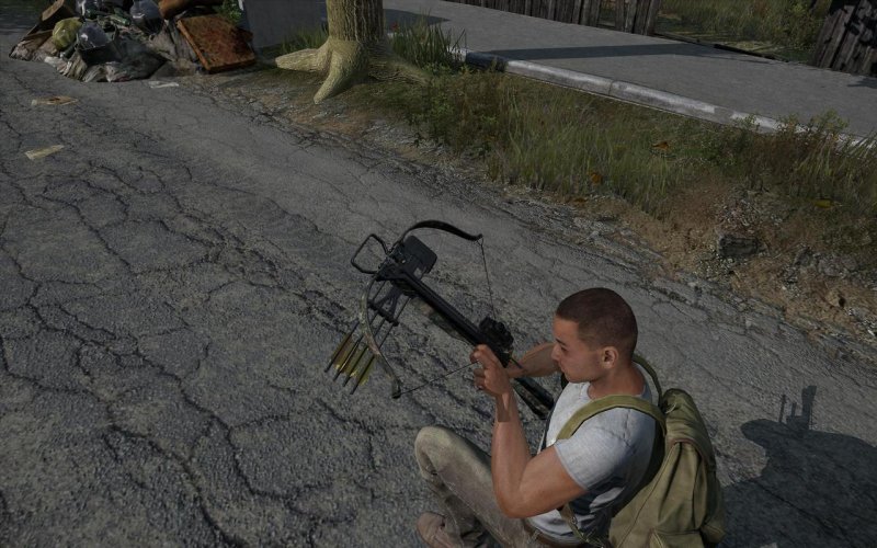 La guida alla sopravvivenza in DayZ La guida alla sopravvivenza in DayZ