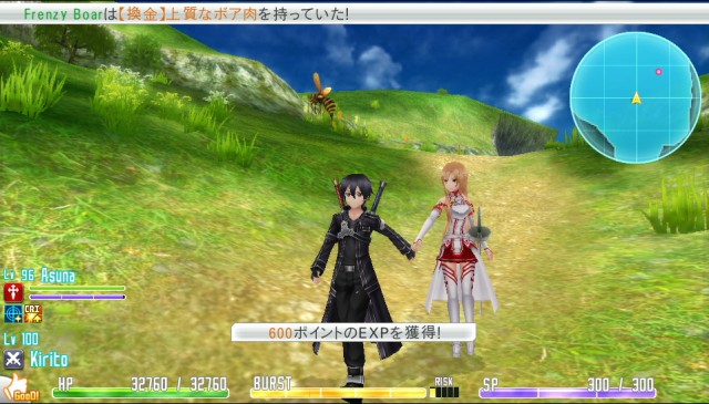 Immagine di Sword Art Online: Hollow Fragment per PlayStation Vita