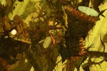 Aaru's Awakening, recensione - Recensione