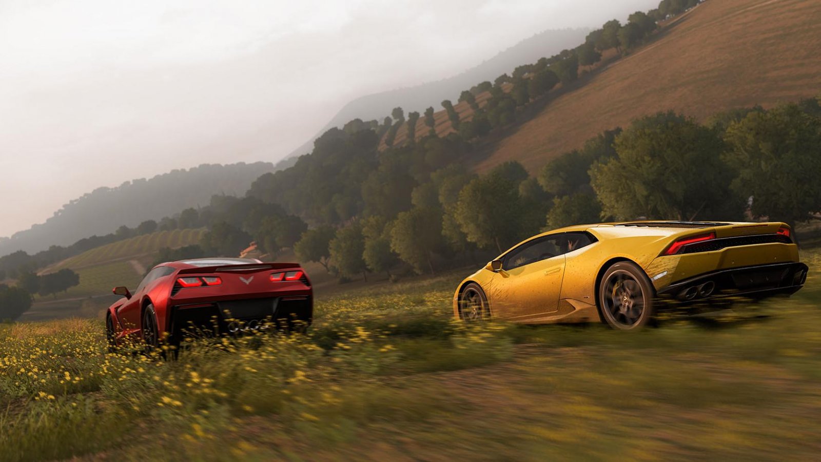 Un'immagine di Forza Horizon 2
