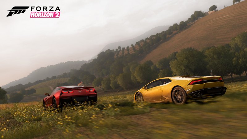 Immagine di Forza Horizon 2 per Xbox One
