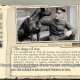 Valiant Hearts: The Great War - Il terzo videodiario