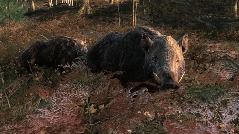 L'attesa è il mio nemico