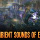 Dungeon Defenders 2 - Un video sui suoni ambientali