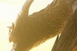 Dalamadur ci aspetta nel nuovo trailer di Monster Hunter 4 Ultimate - Notizia