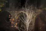 The Sailor's Dream - Il trailer di annuncio - Notizia