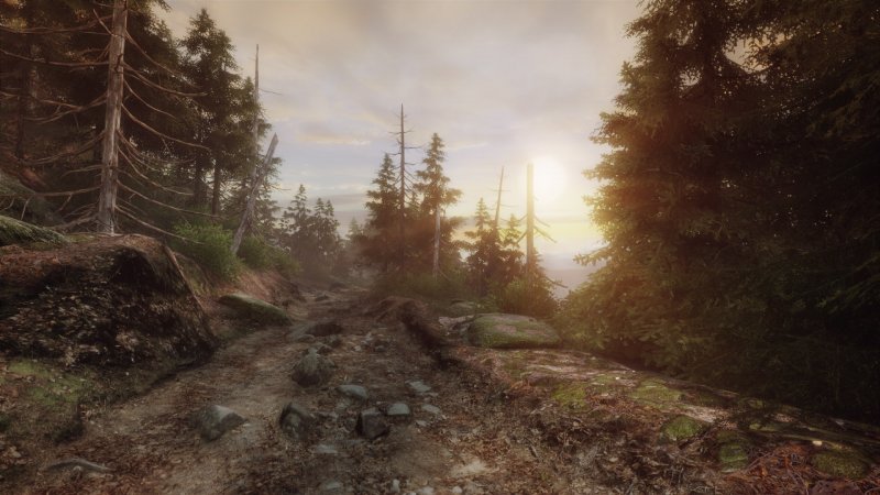 Immagine di The Vanishing of Ethan Carter per PC Windows