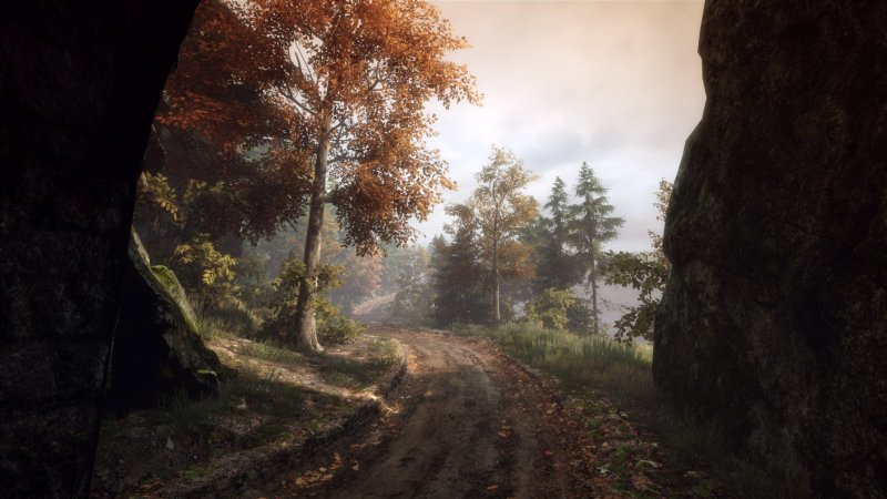 Immagine di The Vanishing of Ethan Carter per PC Windows