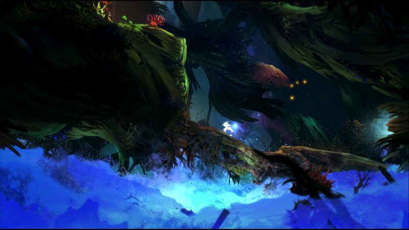 Immagine di Ori and the Blind Forest per Xbox One