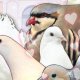 Hatoful Boyfriend: Epic Games accusata di non pagare le royalty, verifiche in corso