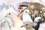 Gli uccelli di Hatoful Boyfriend vanno a scuola anche su PlayStation 4 e PlayStation Vita - Notizia