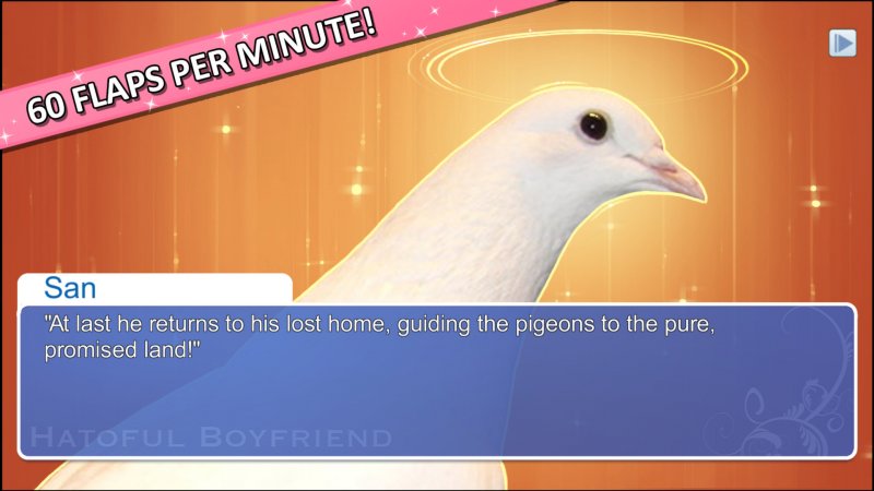 pigeon dating vn)