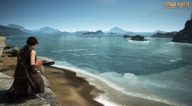 Immagine di Black Desert Online per PC Windows