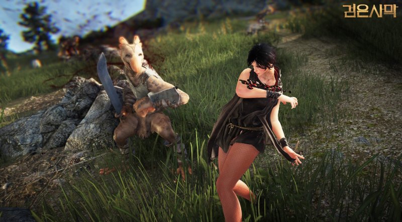 Immagine di Black Desert Online per PC Windows