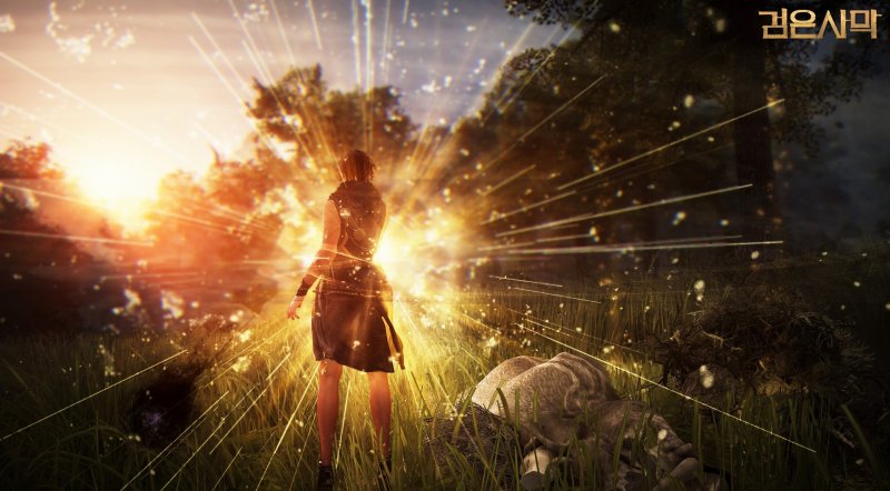 Immagine di Black Desert Online per PC Windows