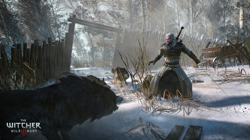 The Witcher 3: Wild Hunt includerà forti contenuti sessuali, violenza e sangue The Witcher 3: Wild Hunt includerà forti contenuti sessuali, violenza e sangue