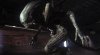 Alien: Isolation su Steam non è gratis, ma poco ci manca
