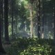 Due nuovi video mostrano la tecnologia del CryEngine