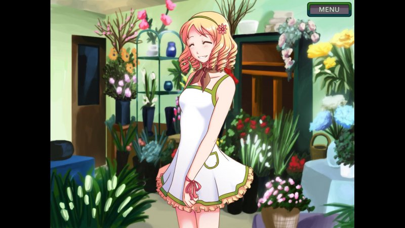 Flower Shop: Summer In Fairbrook