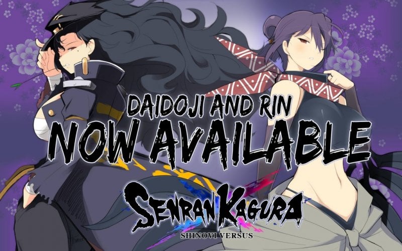 Senran Kagura: Shinovi Versus