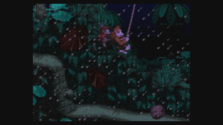 Donkey Kong Country