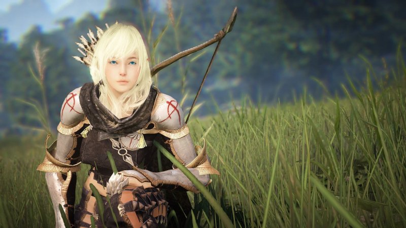 Immagine di Black Desert Online per PC Windows