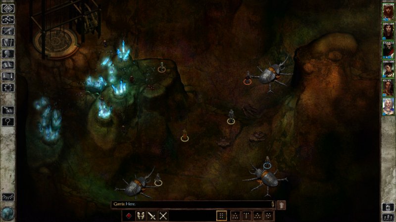 Icewind Dale: Enhanced Edition