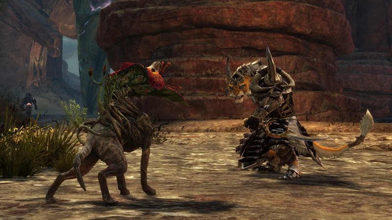 Immagine di Guild Wars 2 per PC Windows