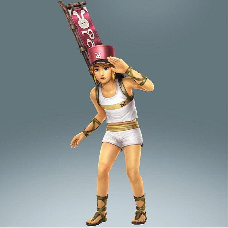 Immagine di Hyrule Warriors per Nintendo Wii U