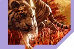 Stasera il Long Play di Far Cry 4 - Notizia