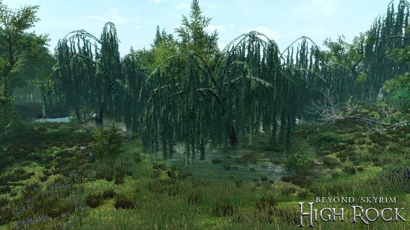 Immagine di Sviluppatori