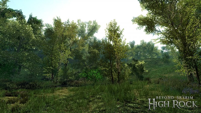 Immagine di Sviluppatori