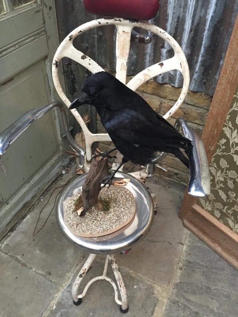 Chi non muore in compagnia...