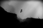 La versione Xbox 360 di Limbo è ora retrocompatibile con Xbox One - Notizia